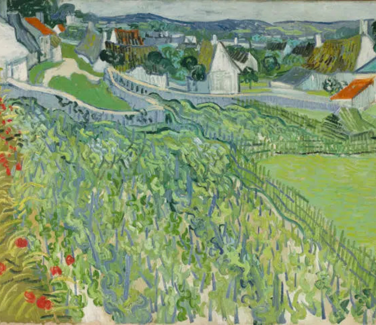 Vineyard at Auvers-sur-Oise by Vincent Van Gogh view from Champonval area