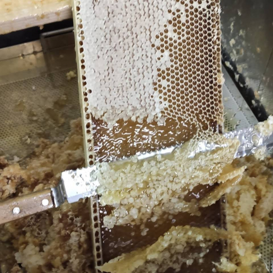 Récupération de miel